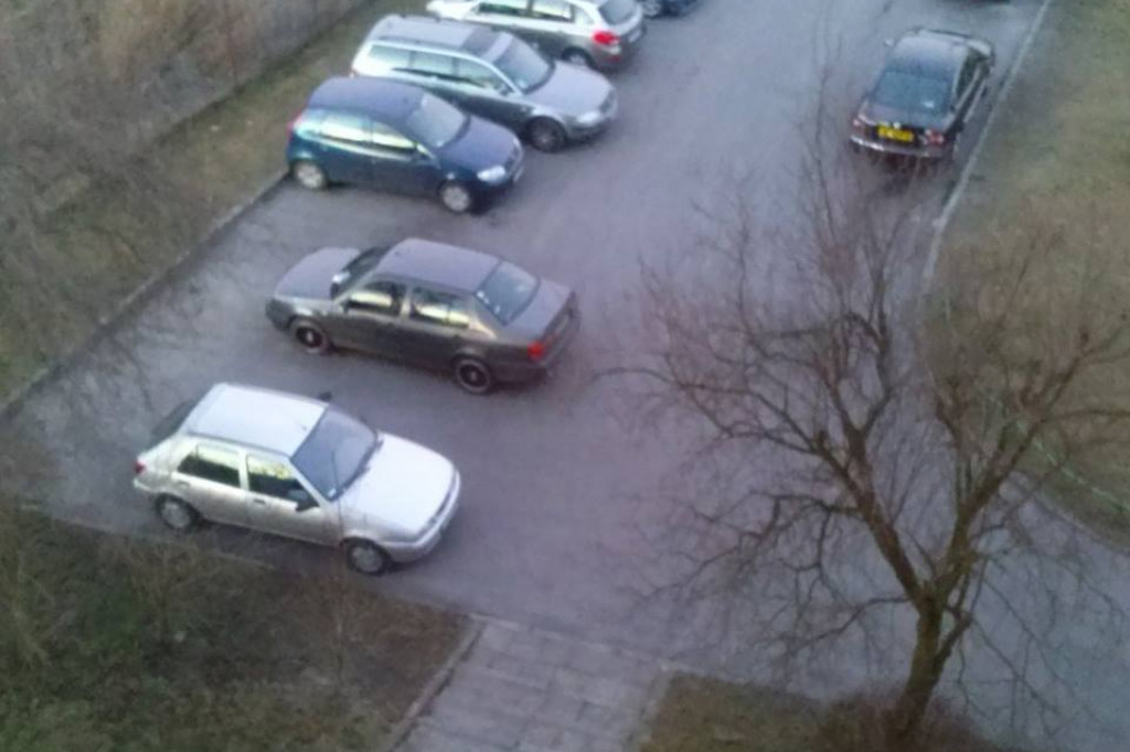 Mistrz parkowania -  galeria Czytelników