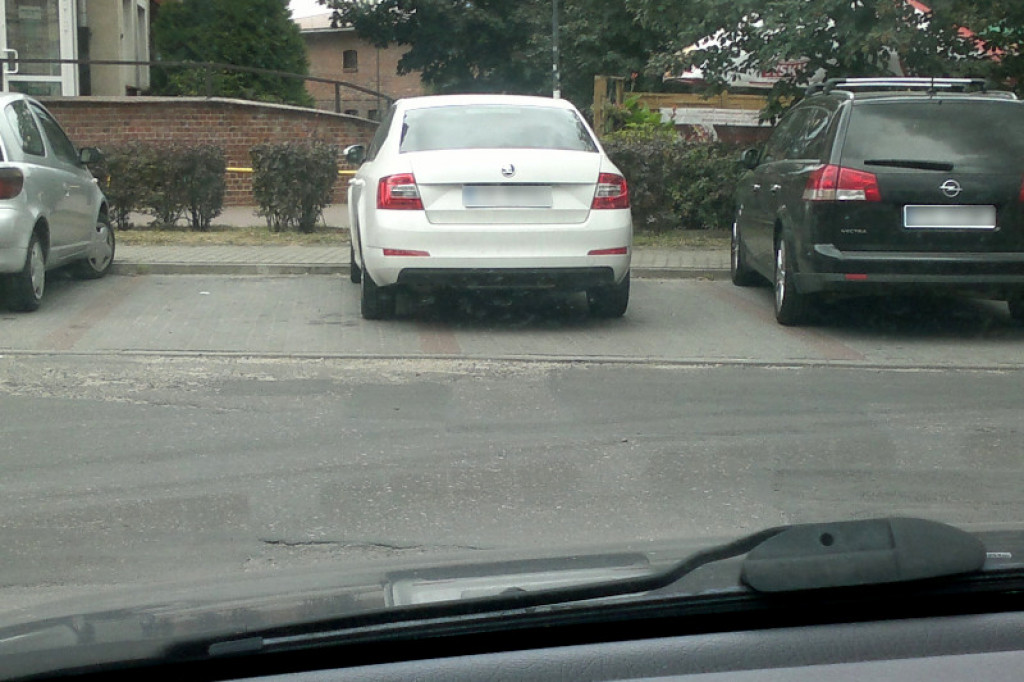 Mistrz parkowania -  galeria Czytelników