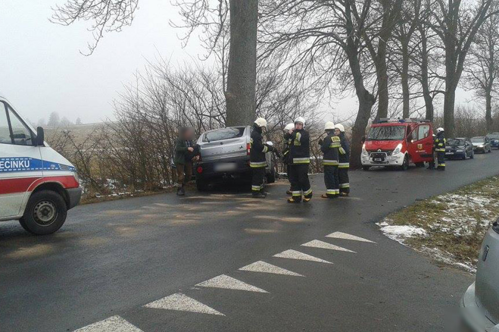 SsangYong uderzył w drzewo. Kierowca trafił do szpitala