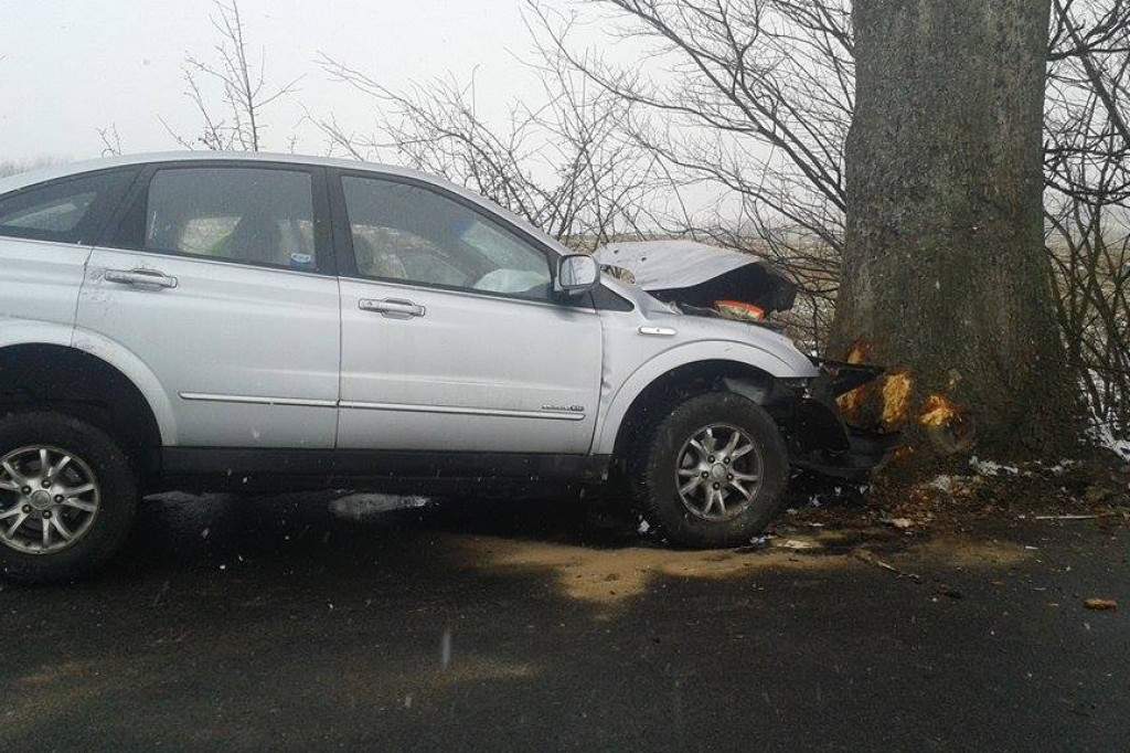 SsangYong uderzył w drzewo. Kierowca trafił do szpitala
