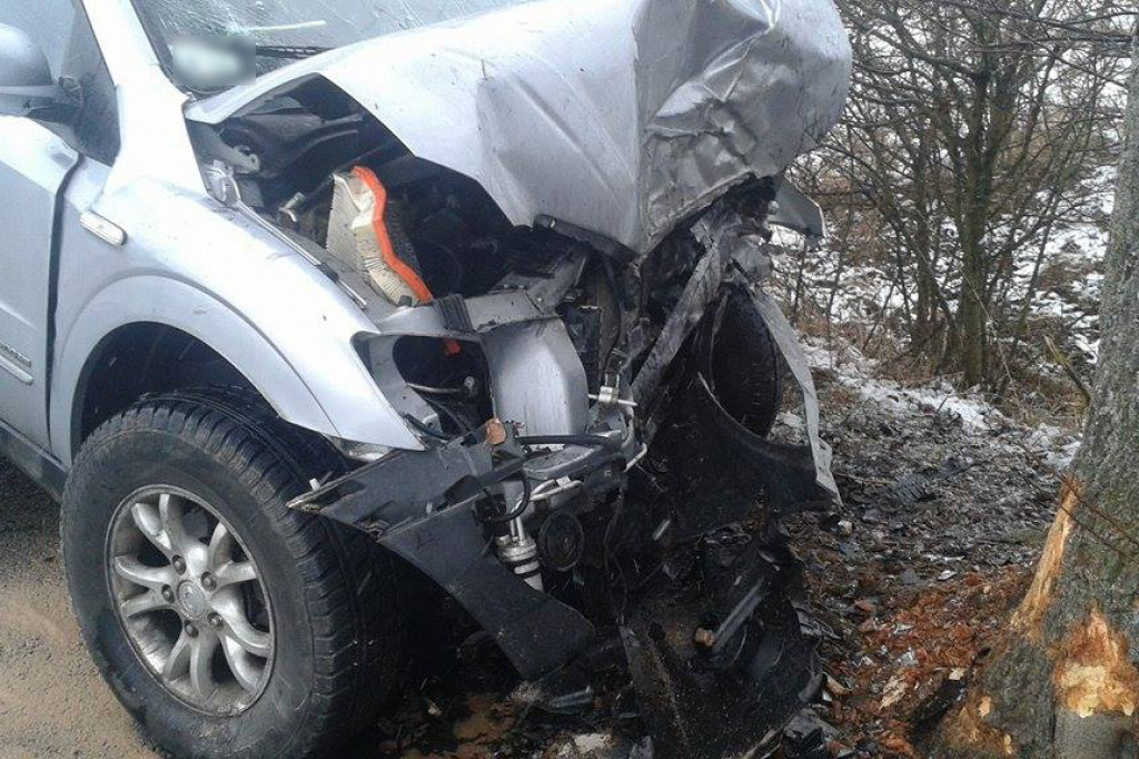 SsangYong uderzył w drzewo. Kierowca trafił do szpitala