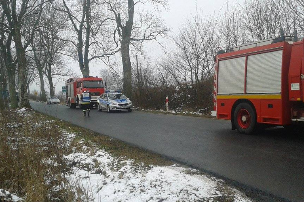 SsangYong uderzył w drzewo. Kierowca trafił do szpitala