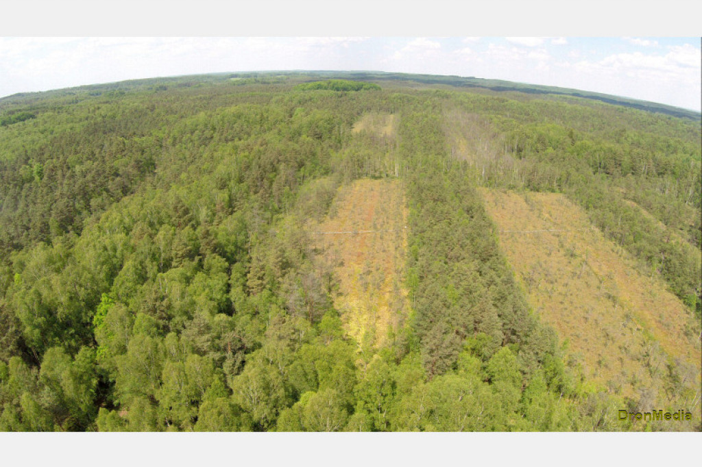 EKO-SKARBY POMORSKIEJ PRZYRODY - kadry z planu