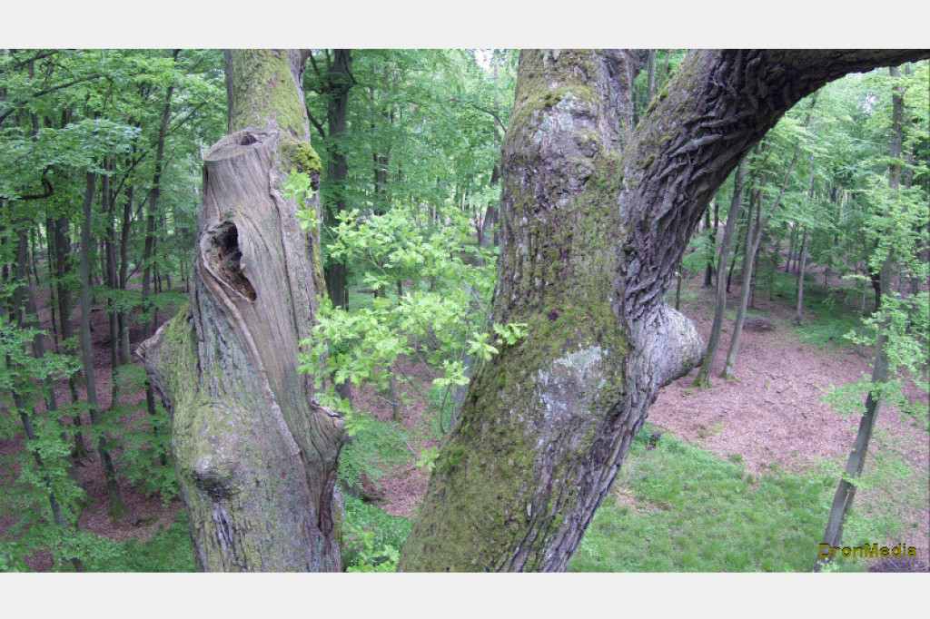 EKO-SKARBY POMORSKIEJ PRZYRODY - kadry z planu