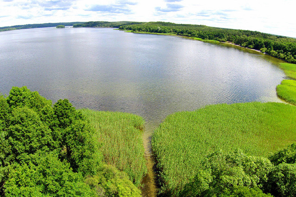 EKO-SKARBY POMORSKIEJ PRZYRODY - kadry z planu
