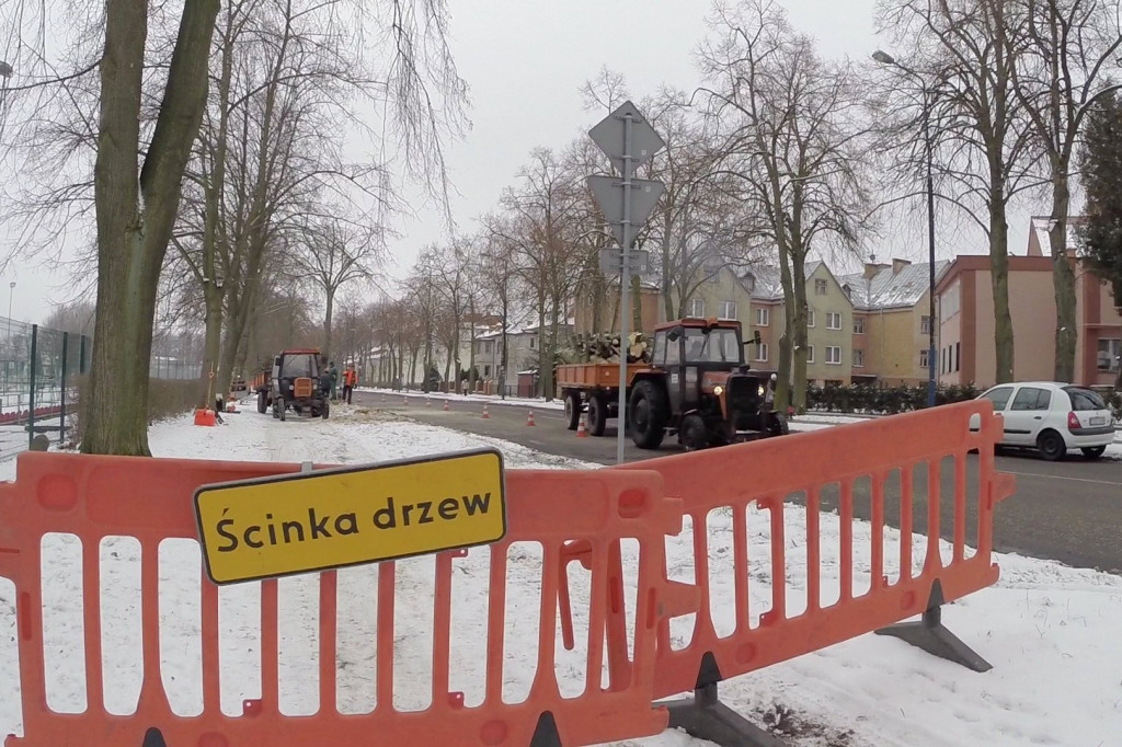 Wycinają drzewa by było bezpiecznie