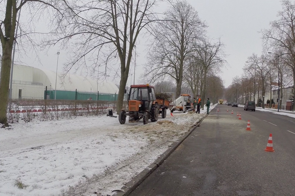 Wycinają drzewa by było bezpiecznie