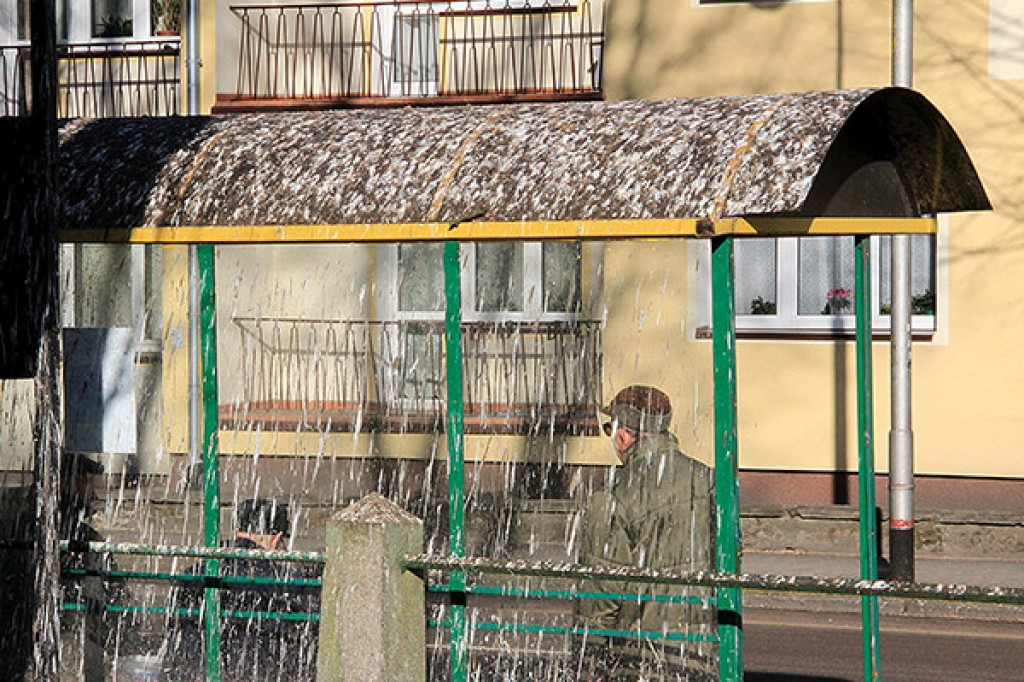 Miasto (na razie) przegrywa z gawronami