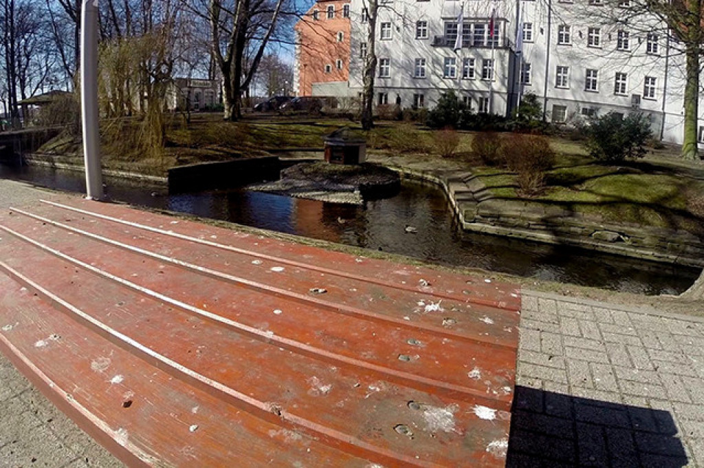 Miasto (na razie) przegrywa z gawronami