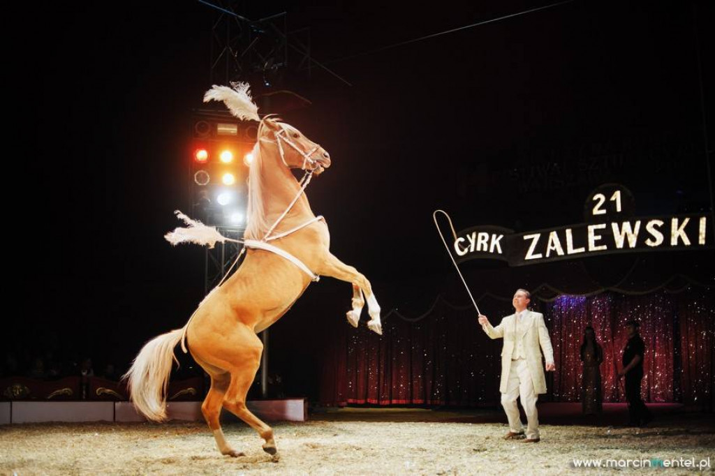 Cyrk Zalewski