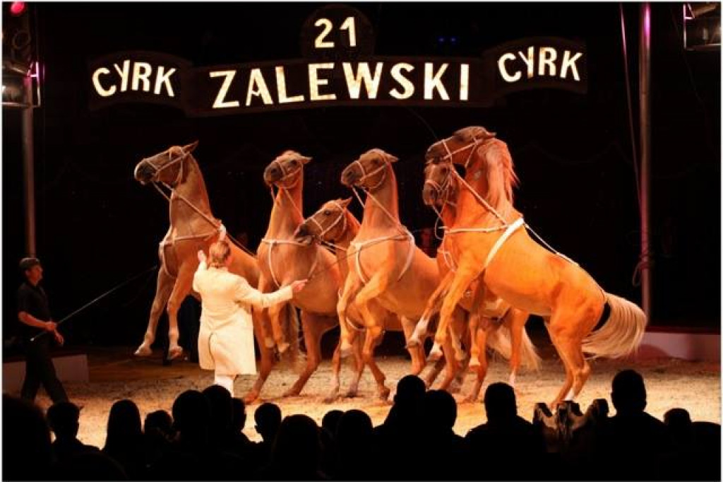 Cyrk Zalewski