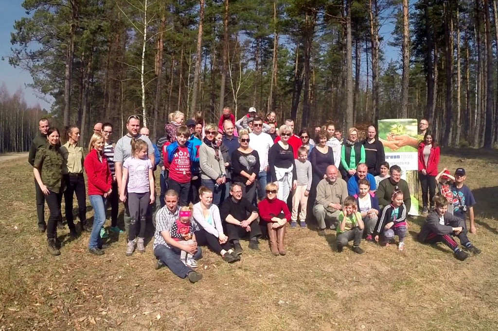 KronoDrzewko 2015 - Cichy Bór