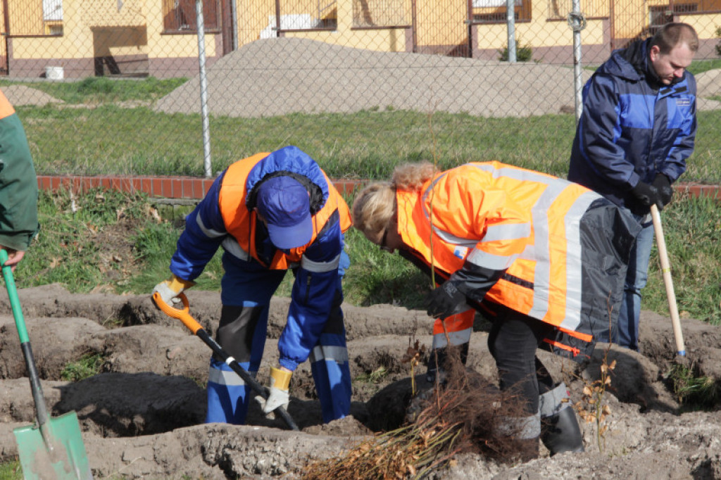 Ponad pół tysiąca buków dla zwierząt