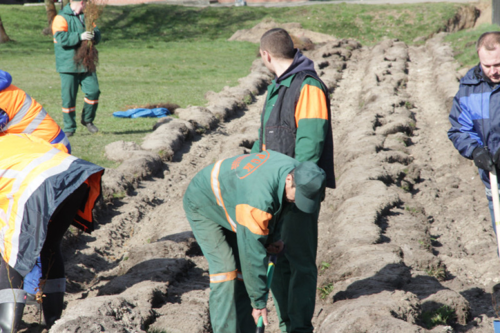 Ponad pół tysiąca buków dla zwierząt