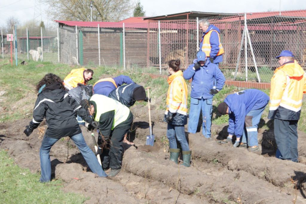 Ponad pół tysiąca buków dla zwierząt