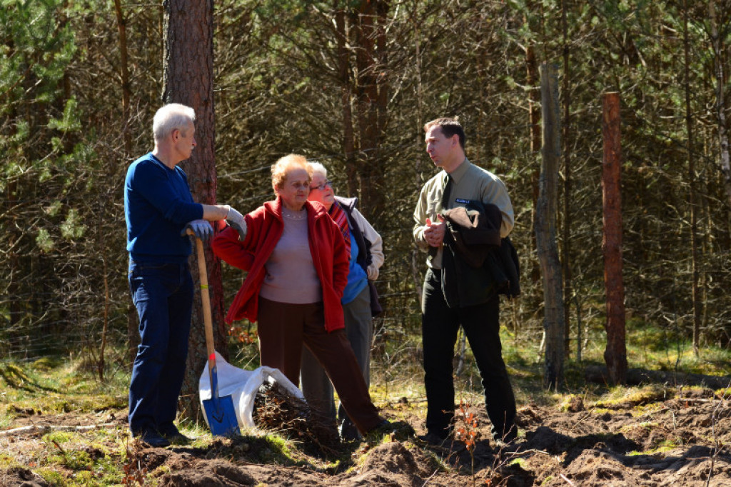 2000 sadzonek buka na Święto Lasu