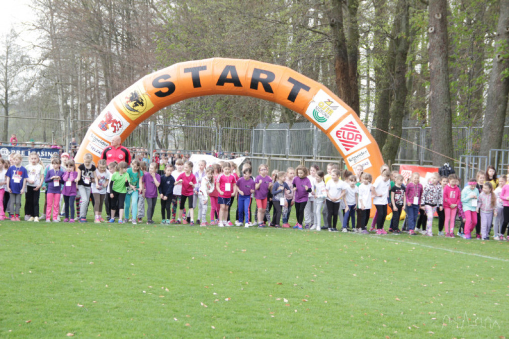 Bieg Osińskiego 2015 - rozpoczęcie