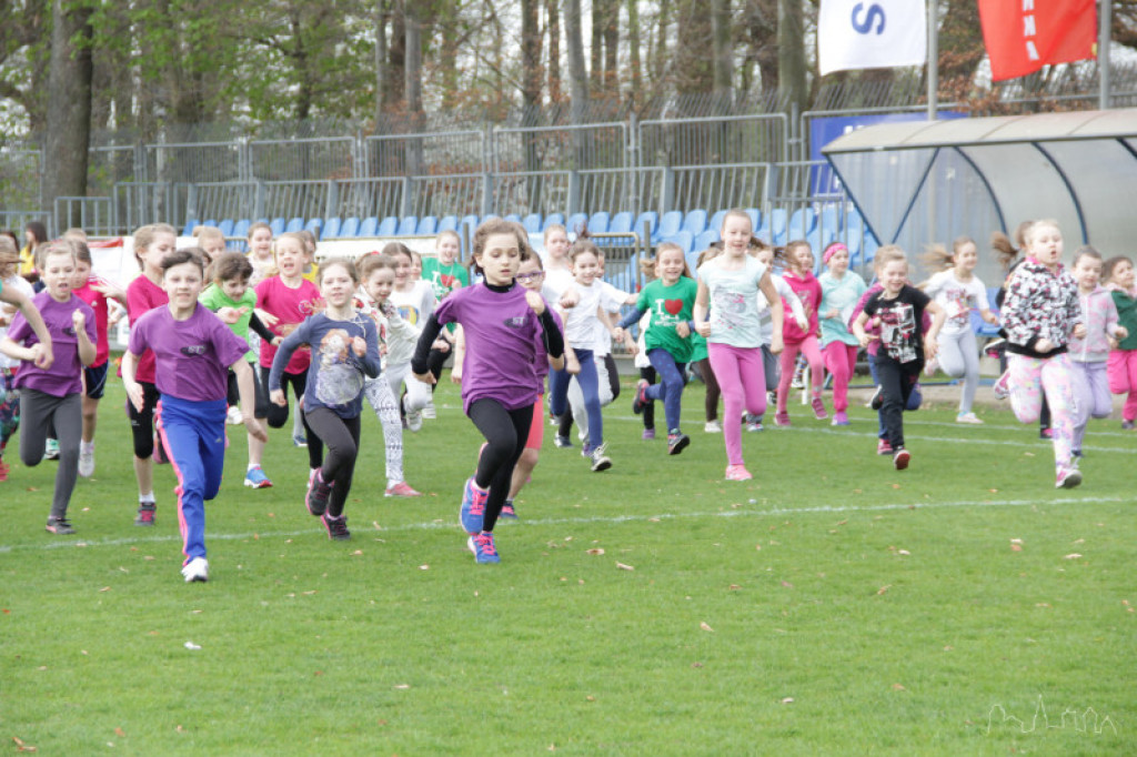 Bieg Osińskiego 2015 - rozpoczęcie