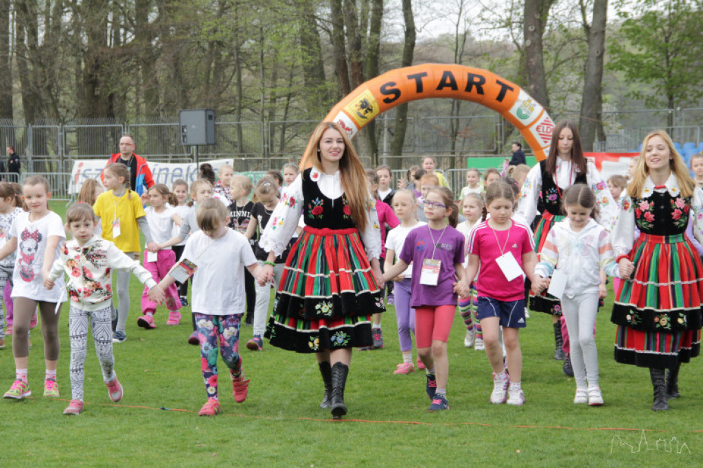 Bieg Osińskiego 2015 - rozpoczęcie