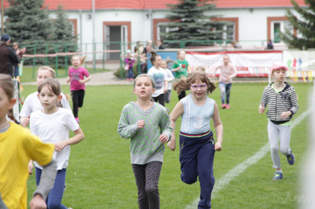 Bieg Osińskiego 2015 - rozpoczęcie