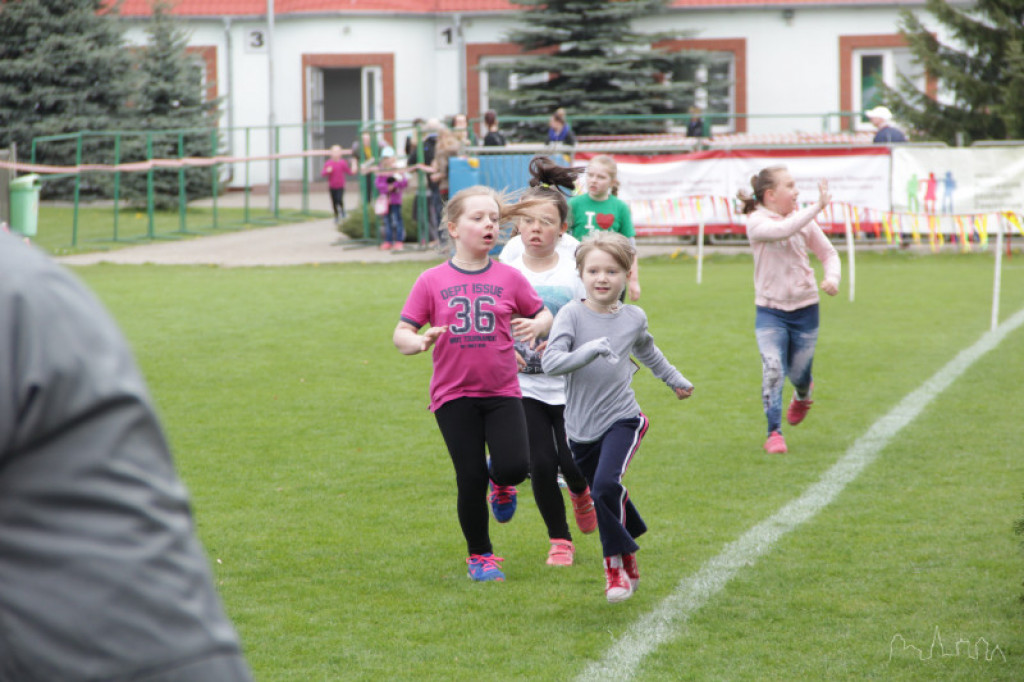 Bieg Osińskiego 2015 - rozpoczęcie