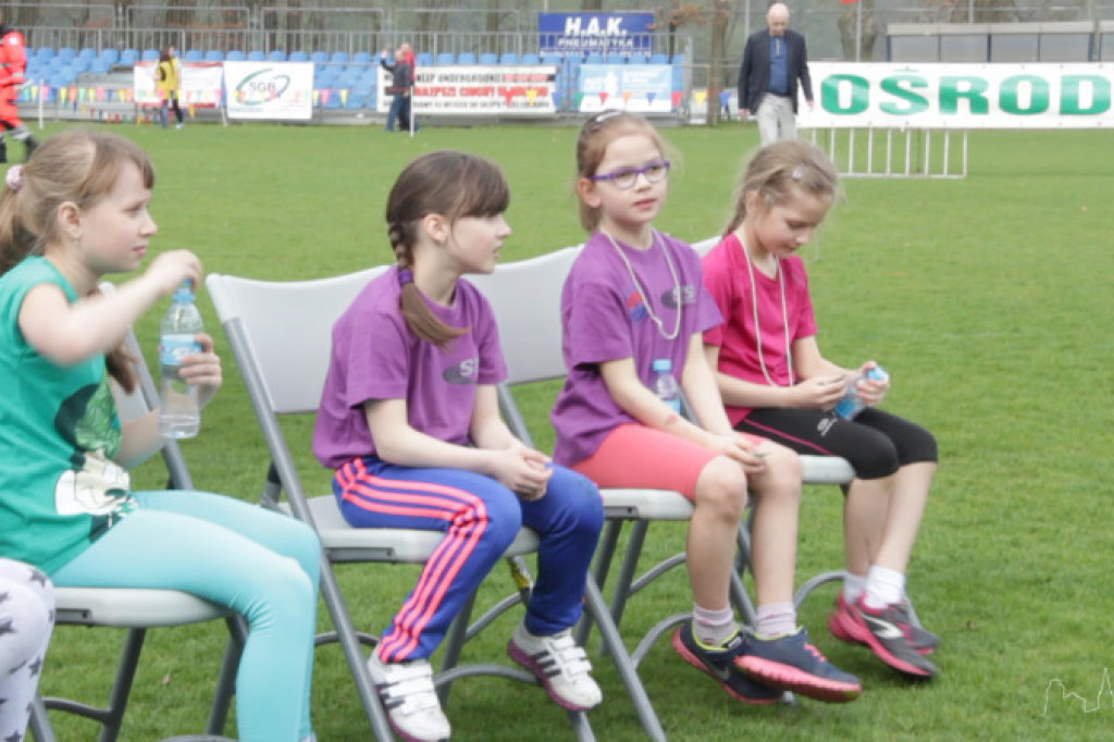 Bieg Osińskiego 2015 - rozpoczęcie