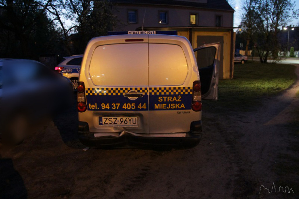 Kraksa przed przejściem dla pieszych. Radiowóz Straży Miejskiej rozbity