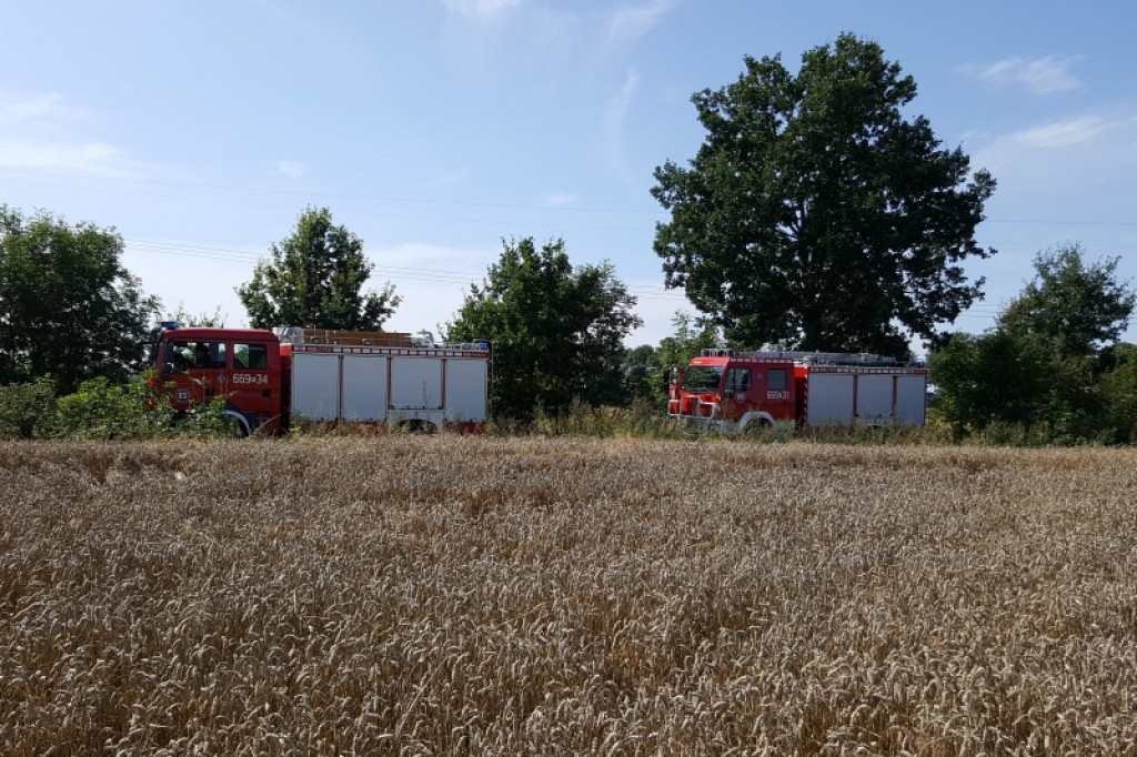 Pożar zboża na pniu w miejscowości Drzewice