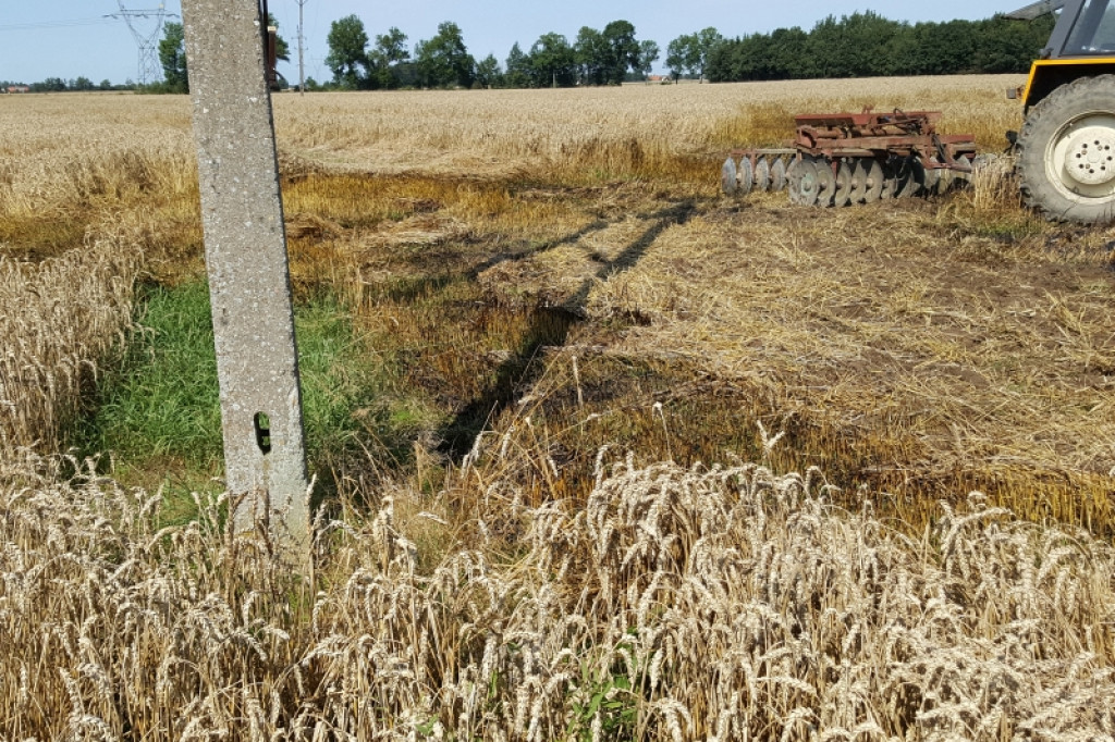 Pożar zboża na pniu w miejscowości Drzewice