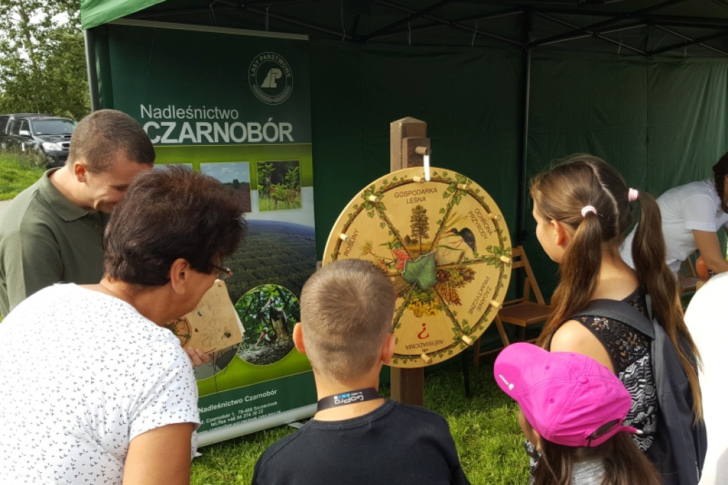 Tłumy na pikniku rodzinnym