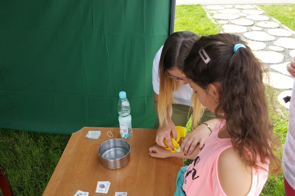 Tłumy na pikniku rodzinnym