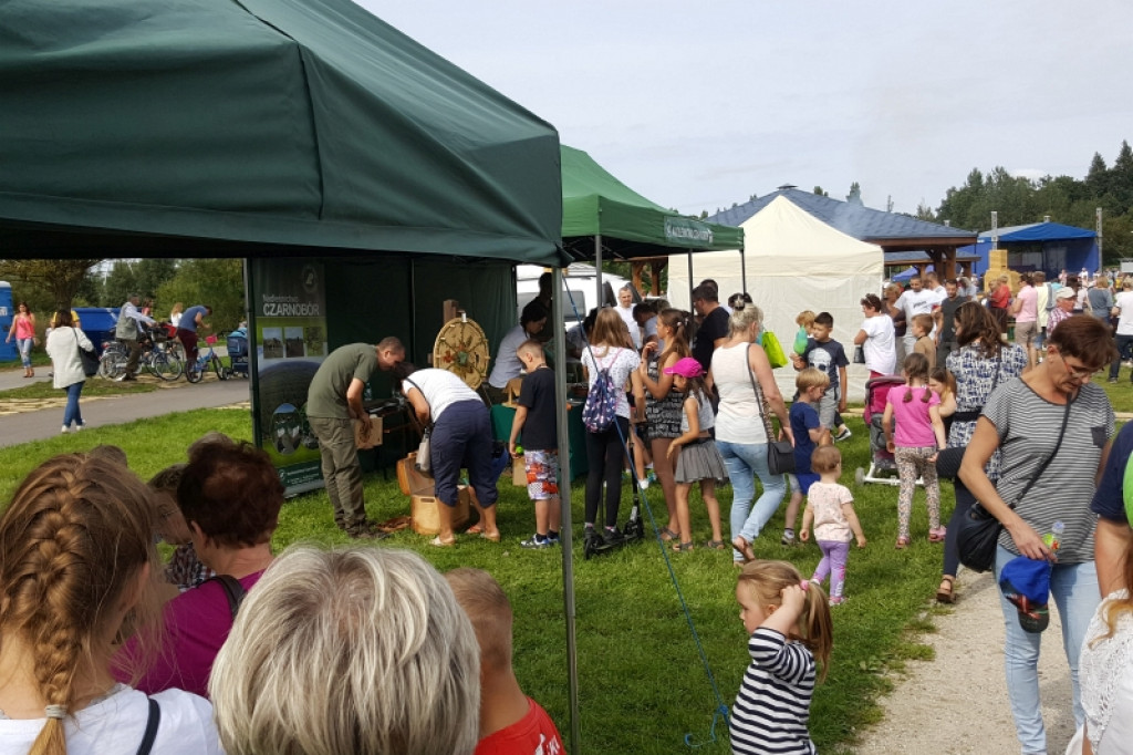 Tłumy na pikniku rodzinnym