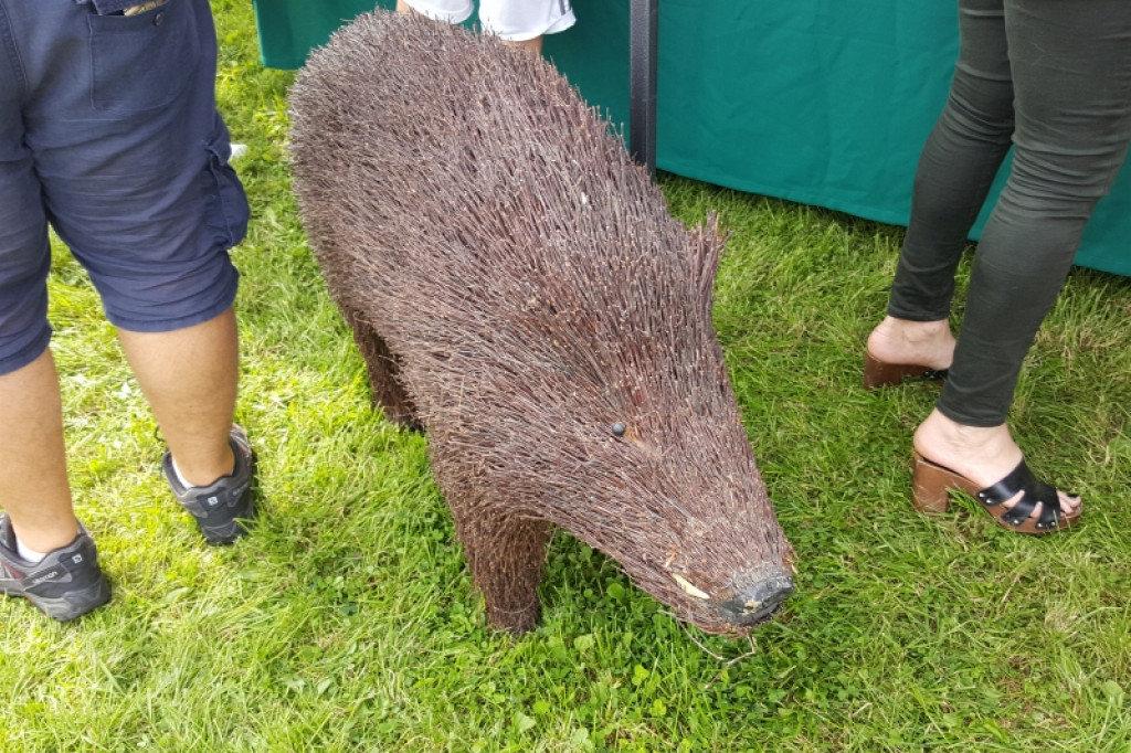 Tłumy na pikniku rodzinnym