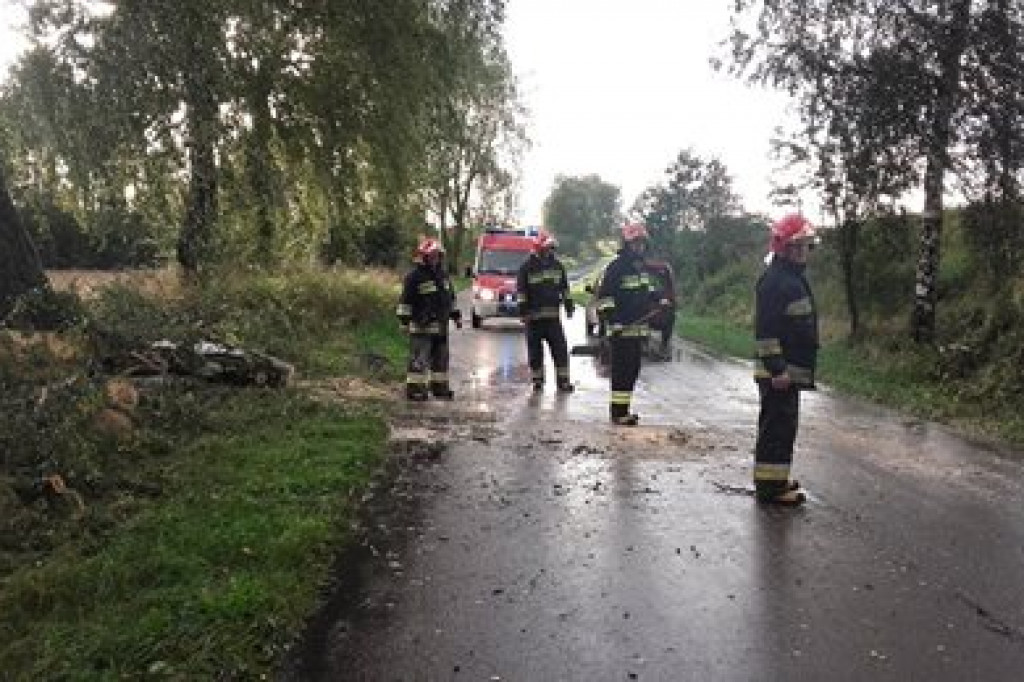 Pracowite popołudnie i noc strażaków. Wszystko przez silny wiatr