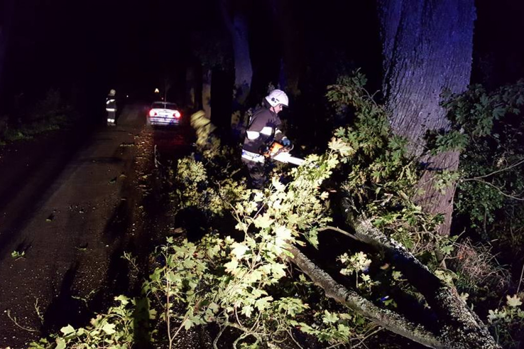 Pracowite popołudnie i noc strażaków. Wszystko przez silny wiatr