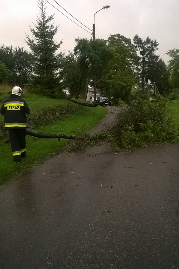 Pracowite popołudnie i noc strażaków. Wszystko przez silny wiatr