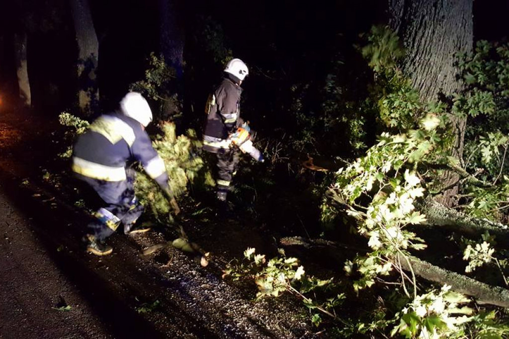 Pracowite popołudnie i noc strażaków. Wszystko przez silny wiatr