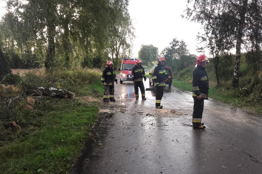 Pracowite popołudnie i noc strażaków. Wszystko przez silny wiatr