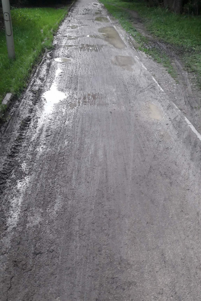 Jest szansa na remont ścieżki w parku