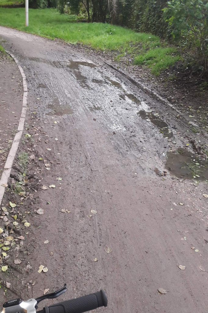 Jest szansa na remont ścieżki w parku