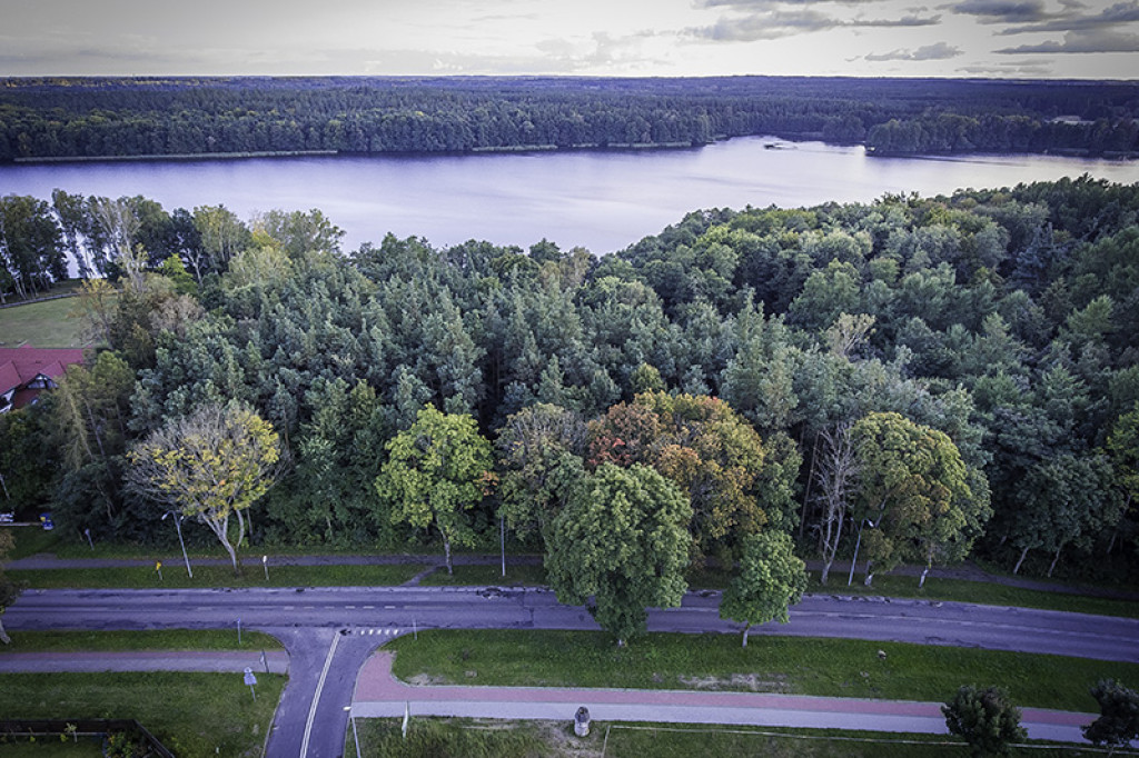 Park będzie powiększony w stronę Trzesieki