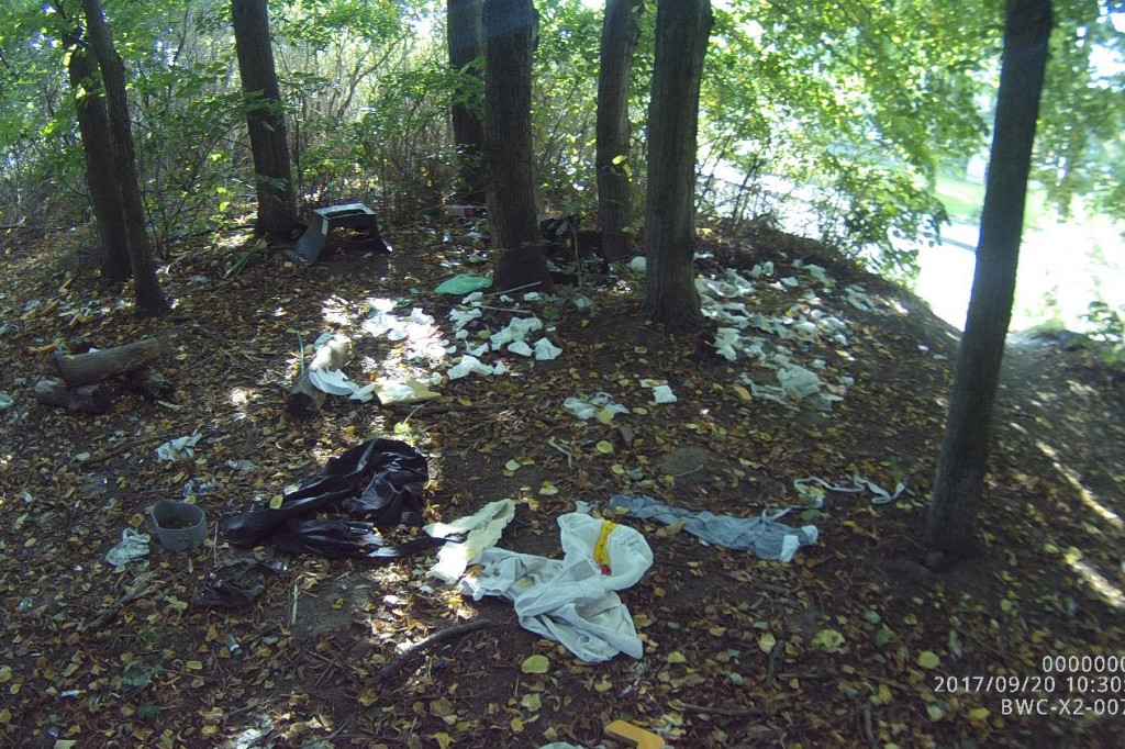 Koty wyrzucone na śmietnik, podrzucanie śmieci i pomoc rannym