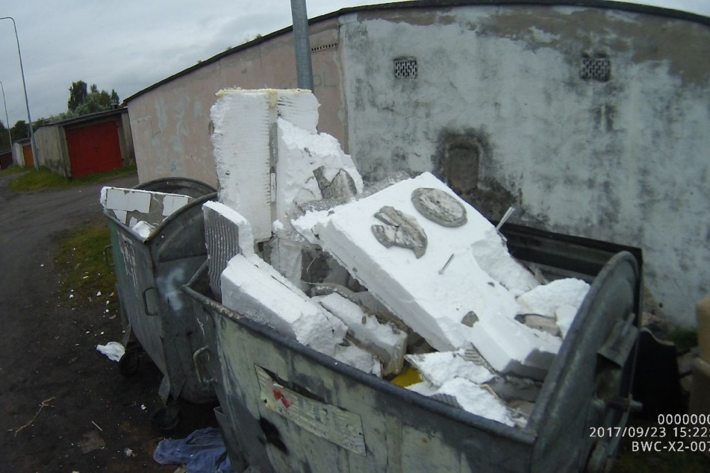 Koty wyrzucone na śmietnik, podrzucanie śmieci i pomoc rannym