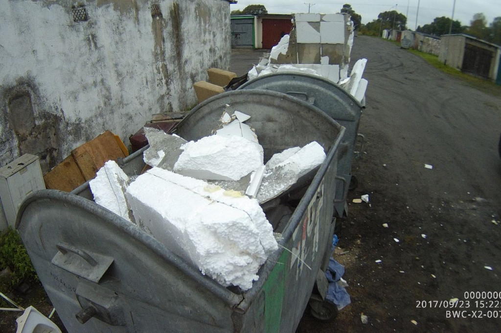 Koty wyrzucone na śmietnik, podrzucanie śmieci i pomoc rannym