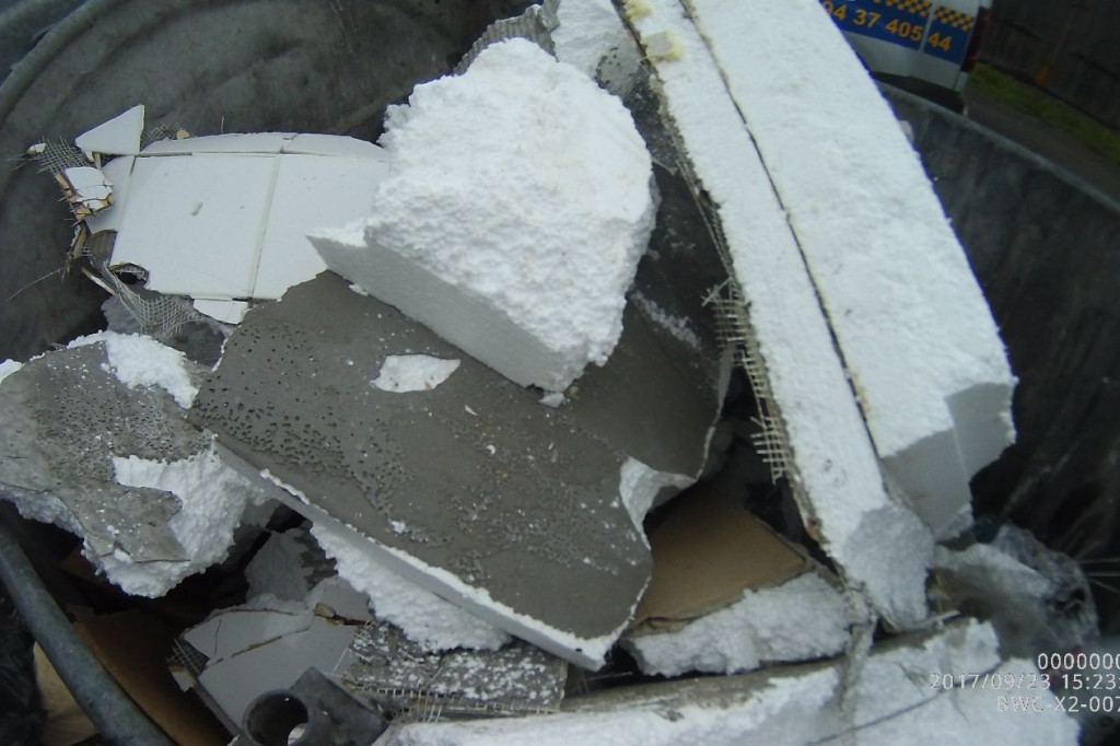 Koty wyrzucone na śmietnik, podrzucanie śmieci i pomoc rannym