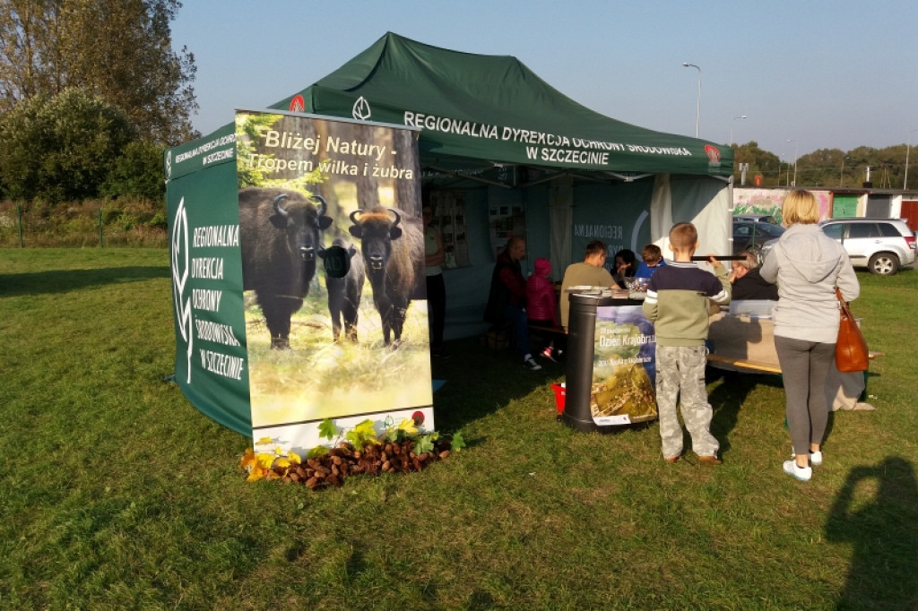 Dary Lasu - leśnicy promowali swoje produkty