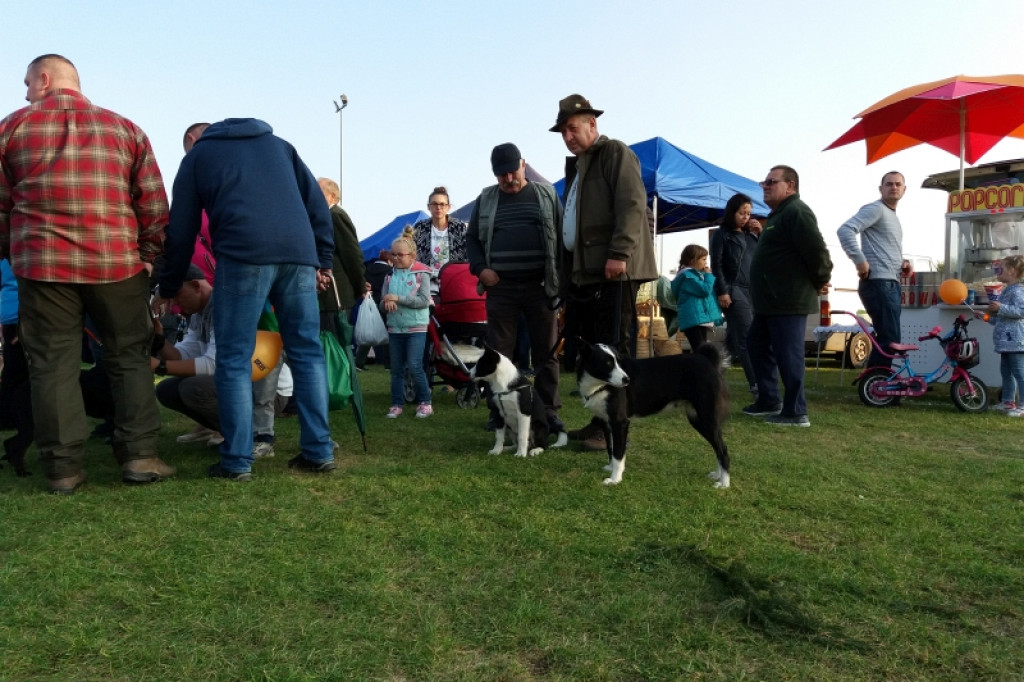 Dary Lasu - leśnicy promowali swoje produkty