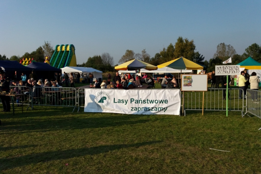 Dary Lasu - leśnicy promowali swoje produkty