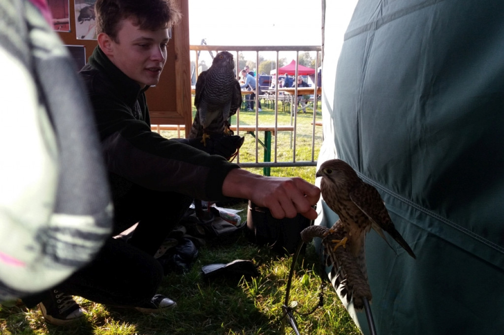 Dary Lasu - leśnicy promowali swoje produkty