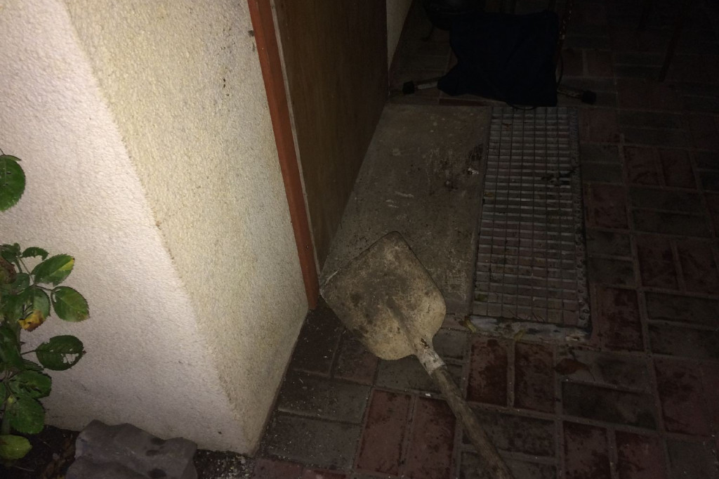 Tygodniowy raport straży miejskiej